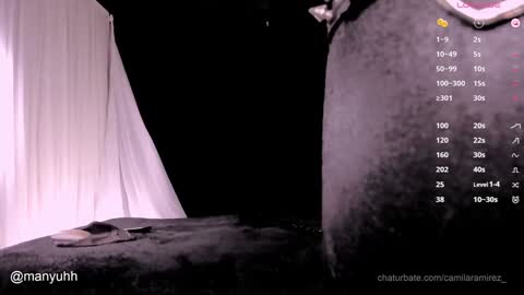 camilaramirez_ online show from December 17, 2024, 11:05 pm