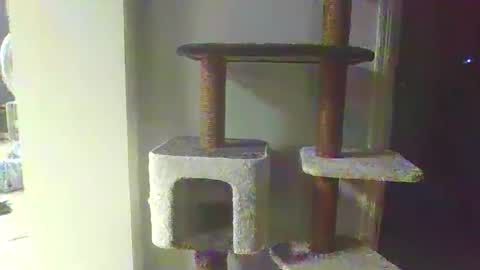 Snapshot of cammyman6900 chatting on November 20, 2025, 4:34 am cammyman6900 online show from November 20, 2025, 4:34 am