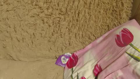 say meow and send tip  online show from December 22, 2024, 10:58 pm