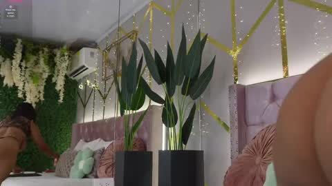 Snapshot of canela_montiel chatting on June 3, 2026, 12:52 pm canela_montiel online show from June 3, 2026, 12:52 pm