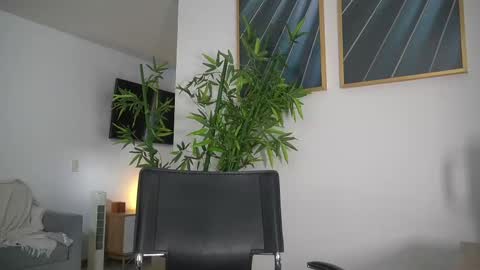 Jency NEW IG IMCANELA   online show from September 10, 2025, 7:36 pm