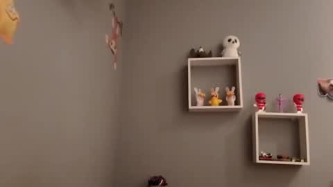 carlitito1 online show from November 19, 2025, 7:52 am