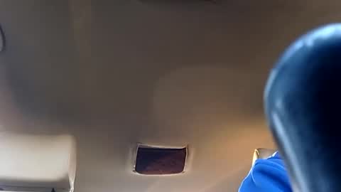 carlitito1 online show from February 3, 2026, 7:46 am