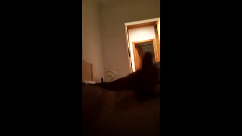 carlos1234500 online show from January 16, 2026, 7:12 am