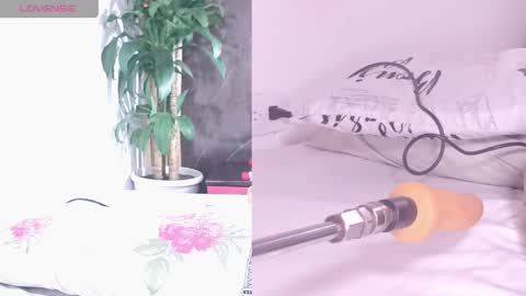 Carol online show from April 17, 2026, 11:02 am