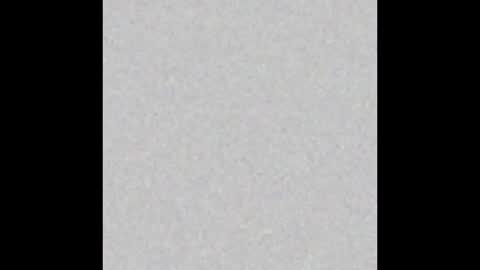 carolina online show from December 14, 2024, 3:51 am