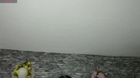 Camelia online show from November 4, 2025, 3:16 am