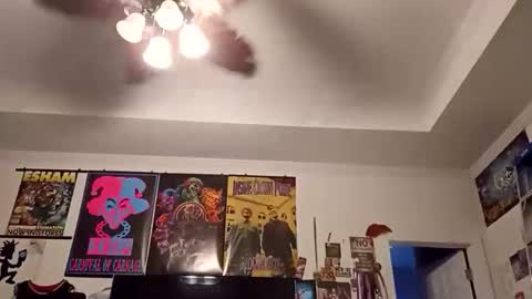 carolinajuggalo17 online show from June 6, 2026, 12:27 am