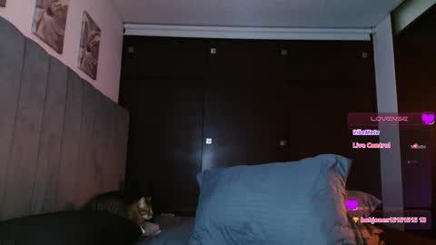 Snapshot of carolynamuzgui chatting on February 27, 2025, 5:58 pm Carolinne online show from February 27, 2025, 5:58 pm