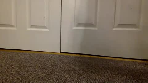 cash13bychanel online show from March 6, 2025, 9:14 am