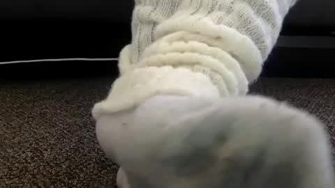 cash13bychanel online show from December 4, 2025, 7:00 pm