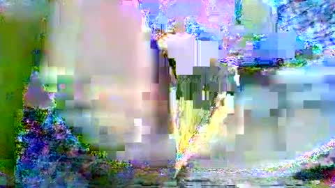 CathyXLisa online show from February 22, 2025, 8:18 am