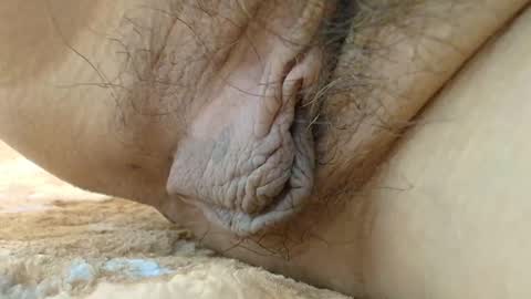 Snapshot of cbz112233 chatting on September 8, 2025, 3:33 pm ANNYANNY online show from September 8, 2025, 3:33 pm