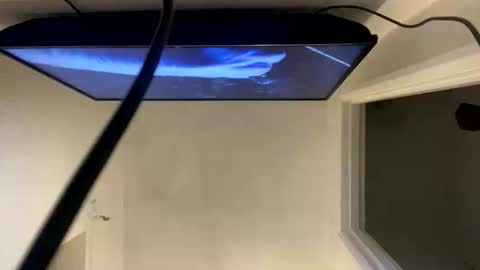 Snapshot of ccsexycam chatting on April 10, 2026, 1:00 am ccsexycam online show from April 10, 2026, 1:00 am