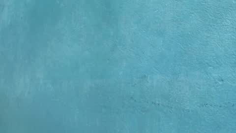 Celestial online show from March 28, 2026, 2:27 pm