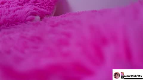 Snapshot of celestte_evans_1 chatting on January 18, 2026, 6:17 am celestte_evans_1 online show from January 18, 2026, 6:17 am