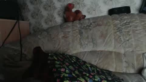 Snapshot of chacoa chatting on January 18, 2026, 12:09 pm chacoa online show from January 18, 2026, 12:09 pm