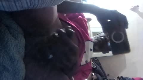 Snapshot of chalet49 chatting on September 15, 2025, 5:40 am chalet49 online show from September 15, 2025, 5:40 am