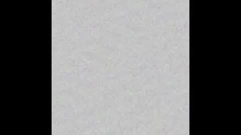 Charlotte online show from October 27, 2025, 4:33 pm