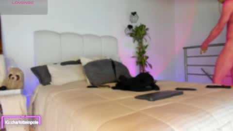 charlotteinpool online show from May 4, 2026, 6:42 am