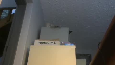 Snapshot of chaturbatordeluxe chatting on November 17, 2025, 3:34 am chaturbatordeluxe online show from November 17, 2025, 3:34 am