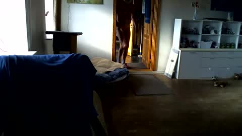 chefben666 online show from February 14, 2026, 11:29 am