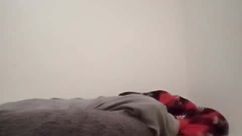 ChemicalX  online show from February 4, 2026, 11:31 pm