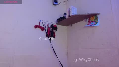 Snapshot of cherrywix chatting on February 20, 2025, 2:07 am cherrywix online show from February 20, 2025, 2:07 am