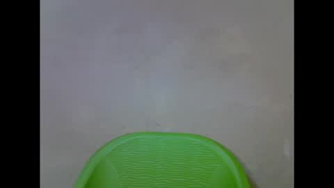 cherryxpussy online show from November 11, 2025, 11:10 am