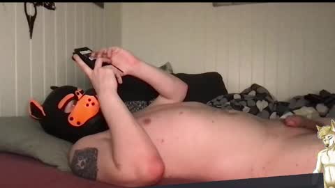 ChestBellyFetish online show from March 28, 2026, 5:34 pm