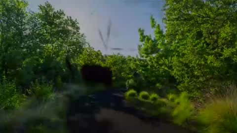 Chris online show from January 27, 2025, 8:07 am