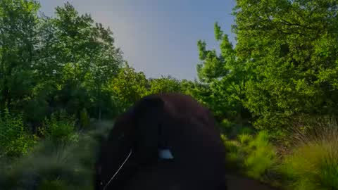 Christian online show from November 10, 2025, 7:51 am