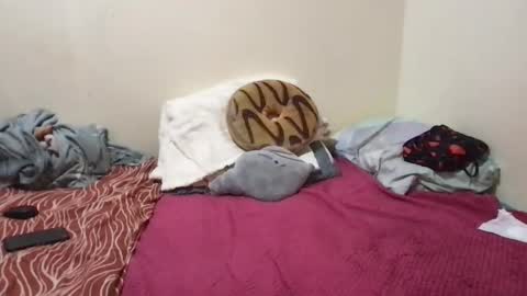 chris_jake1 online show from March 14, 2026, 11:04 am