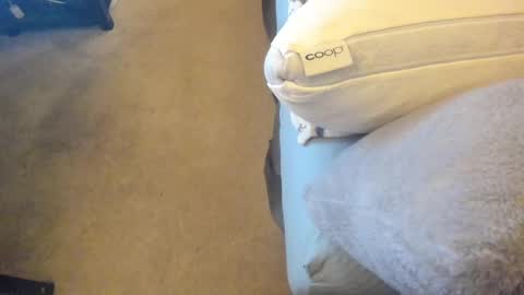 Snapshot of chris_martinson chatting on February 27, 2025, 12:43 am Chris Martinson XXX online show from February 27, 2025, 12:43 am