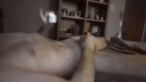 Snapshot of chrisw8121 chatting on February 6, 2026, 6:40 am chrisw8121 online show from February 6, 2026, 6:40 am