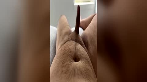 Snapshot of chubbydick9069 chatting on June 15, 2026, 4:20 pm chubbydick9069 online show from June 15, 2026, 4:20 pm