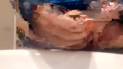 chule63 online show from January 25, 2025, 9:47 am