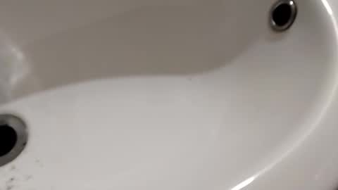 ciccilli online show from November 6, 2025, 9:59 pm