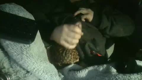 cisalo2501 online show from February 7, 2026, 6:50 am