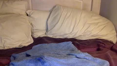 Anon online show from February 4, 2025, 3:11 am