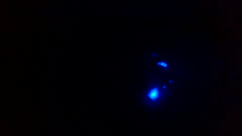 cocksmithog online show from December 13, 2024, 5:43 pm