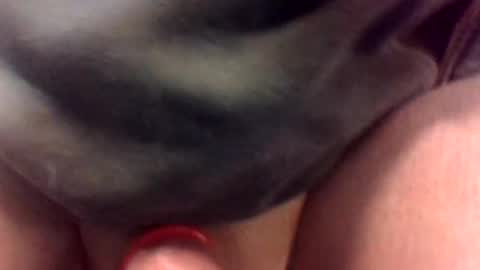 cocksmithog online show from January 19, 2025, 11:43 pm