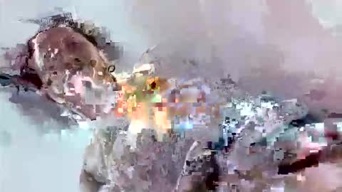 Snapshot of cook135710 chatting on November 17, 2025, 7:08 pm Mount N Drew online show from November 17, 2025, 7:08 pm