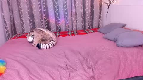 Alice online show from March 1, 2025, 11:58 pm