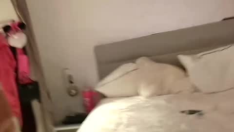 Snapshot of coupletoy97 chatting on February 13, 2025, 6:48 pm Sandra and Tom online show from February 13, 2025, 6:48 pm