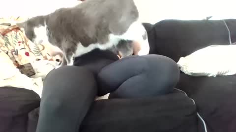 Snapshot of courtxoxo_o chatting on February 20, 2025, 9:31 pm courtxoxo_o online show from February 20, 2025, 9:31 pm