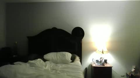 cowboy190087 online show from February 25, 2026, 3:05 am