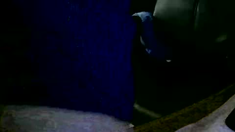 coyote017 online show from January 31, 2025, 11:13 am