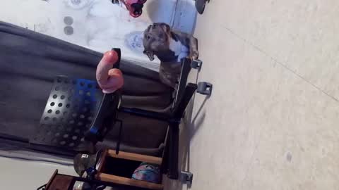 drbucknaked online show from October 29, 2025, 6:15 am