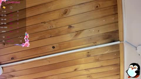 Cristal online show from October 29, 2025, 5:53 am